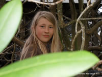 Tretoppen